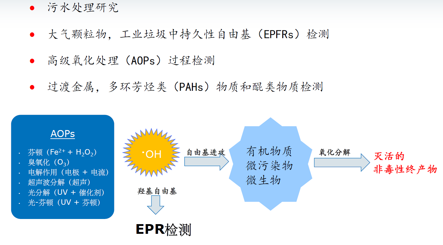 布鲁克-台式 MS5000EPR-束蕴仪器