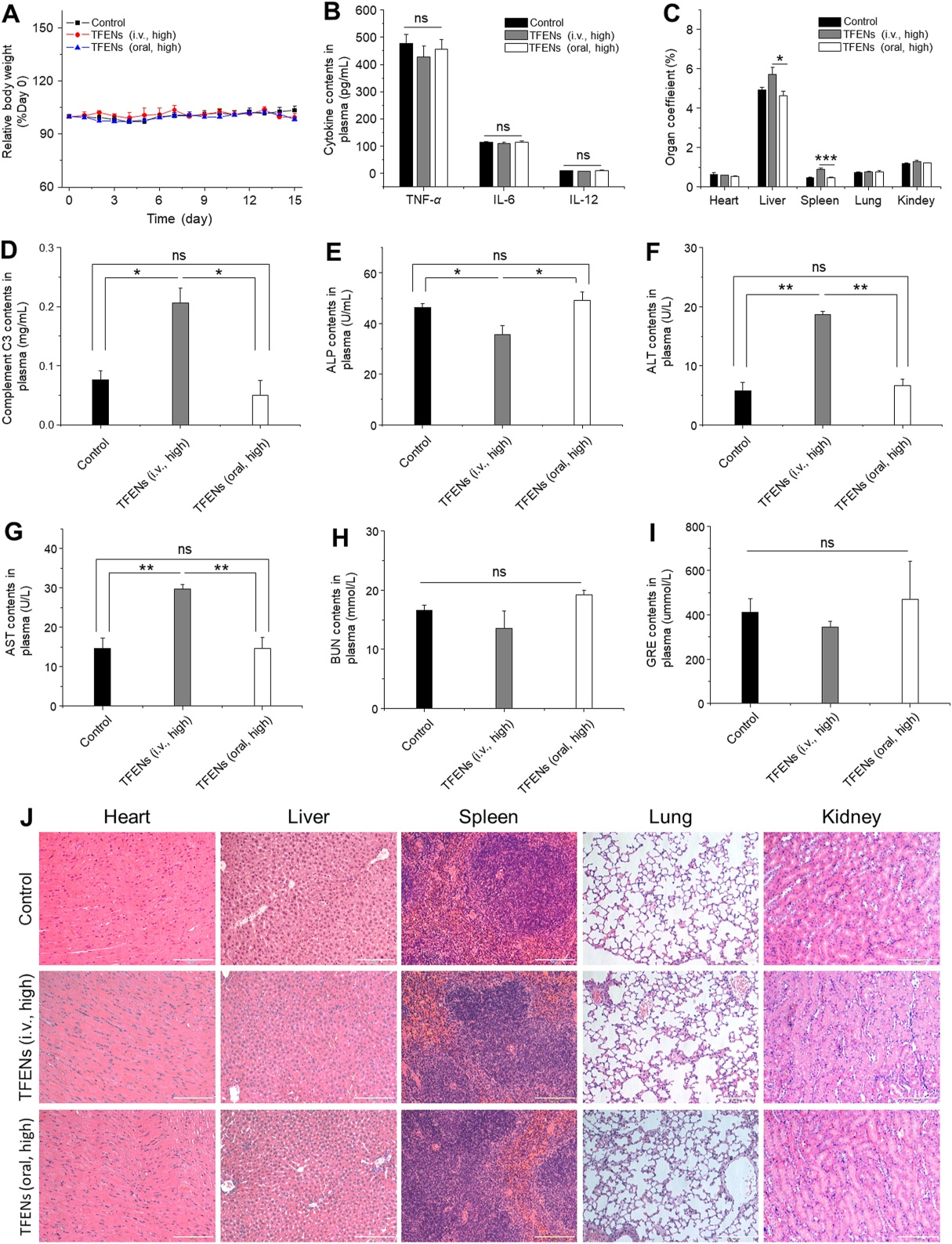细胞凋亡;在体内tfens优先在乳腺癌组织和肺转移部位积累,抑制肿瘤