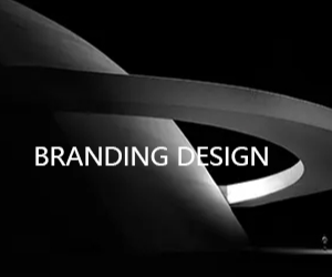 品牌设计/BrandingDesign