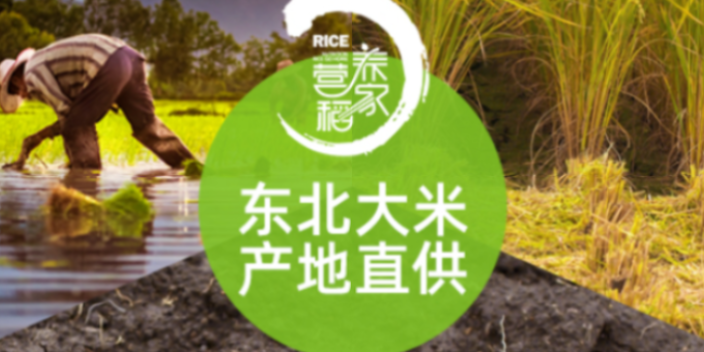 武汉有溯源五常稻花香2号天然绿色