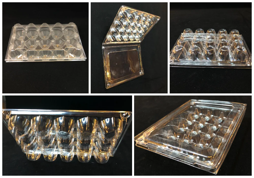 Disposable Transparent Plastic Egg TrayFor SaleSupplier