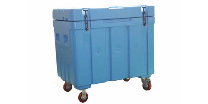 上海冷鏈配送干冰保溫箱價(jià)格 誠(chéng)信服務(wù) 塑創(chuàng)源供應(yīng)