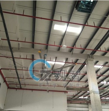 菠萝菠萝蜜手机网