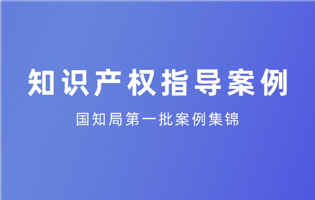 指導案例5號：國家知識產權局集成電路布圖設計行政執法委員會處理布圖設計專有權侵權糾紛案
