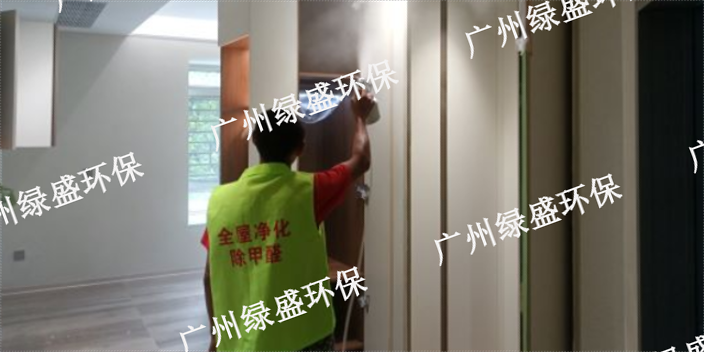 中山培训机构除甲醛公司 值得信赖 广州绿盛环保科技供应