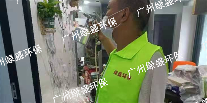 肇庆室内除甲醛,除甲醛