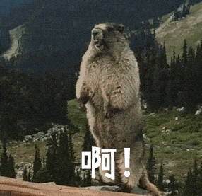 5_iaZiaBHa7y5Ah6TLarKx566tNQOWrA.gif