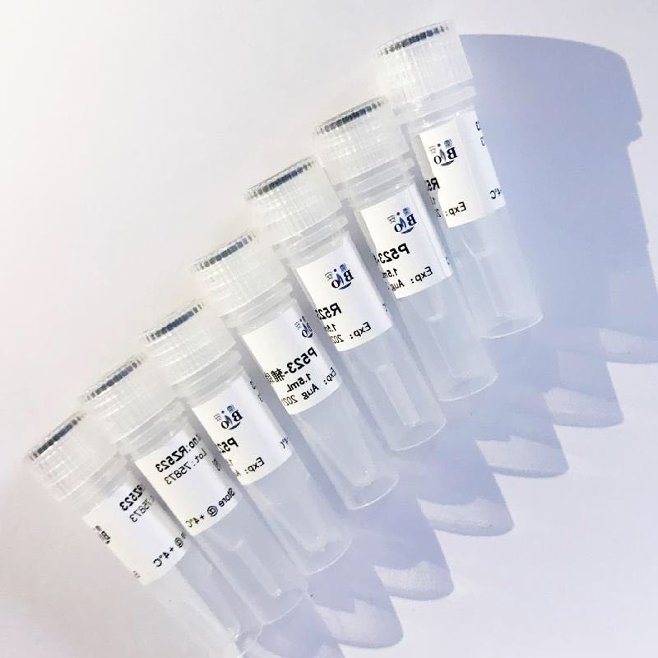 anti gst-tag mouse mab