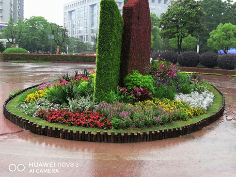 2020年劳动节义乌行政中心广场花境与立体花坛相结合.jpg