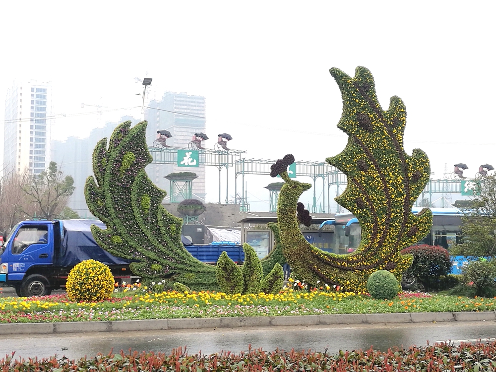 2017杭州萧山花木节(凤凰).jpg