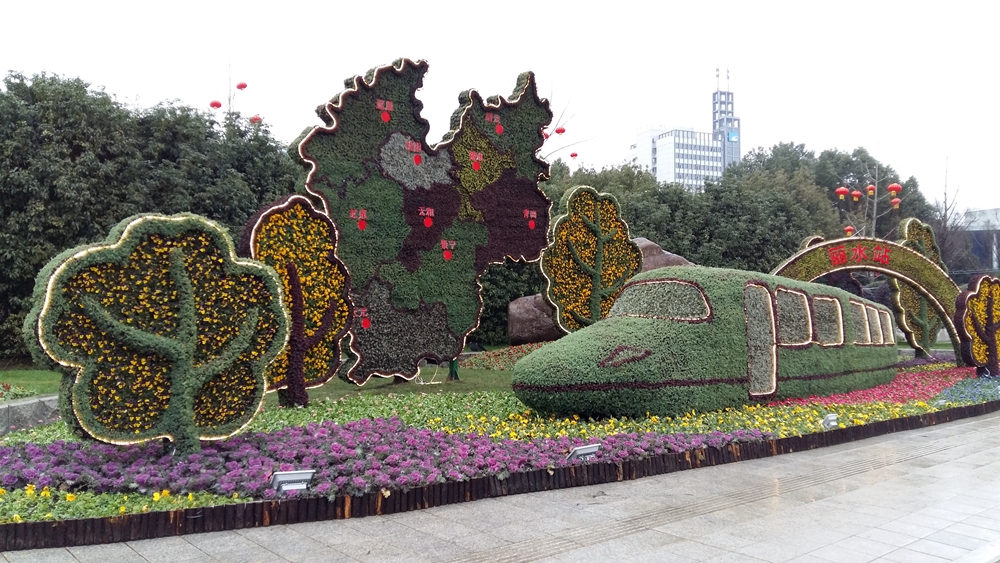 春节花坛花卉图片