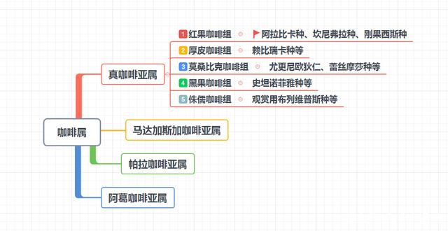 咖啡家谱汇总,喝过这些品种的咖啡吗?