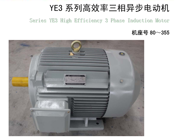 YE2系列高效率三相異步電動機(jī)