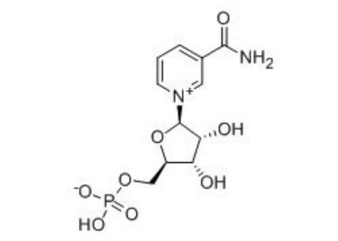 煙酰胺單核苷酸,NMN-上海北倉化工科技有限公司