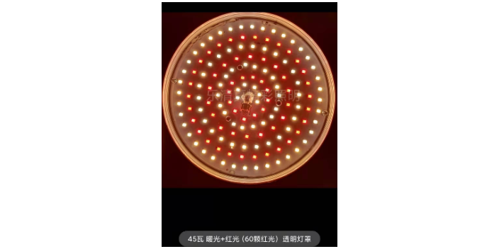 广东LED水果提鲜灯批发 乐清市真精彩照明电器供应