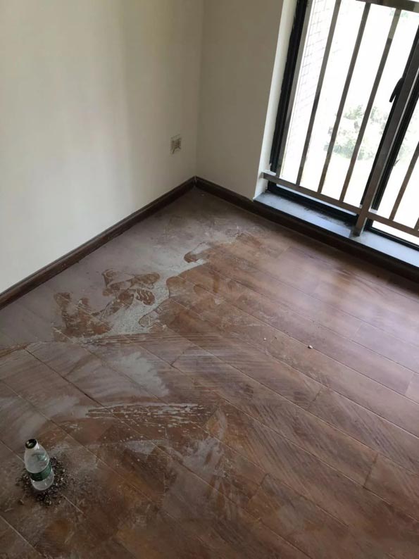 項目案例5.jpg