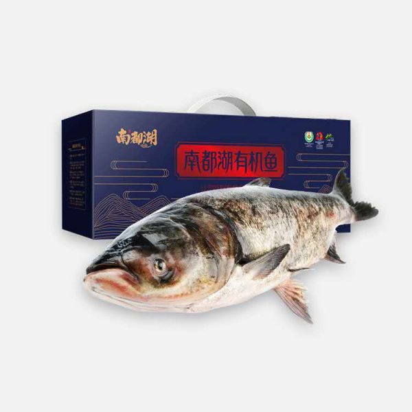 南都湖12斤大魚禮盒