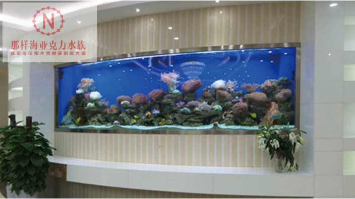 寧波亞克力魚缸清洗,亞克力魚缸