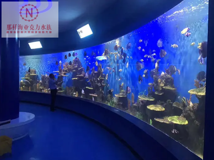 寧波亞克力魚缸清洗,亞克力魚缸