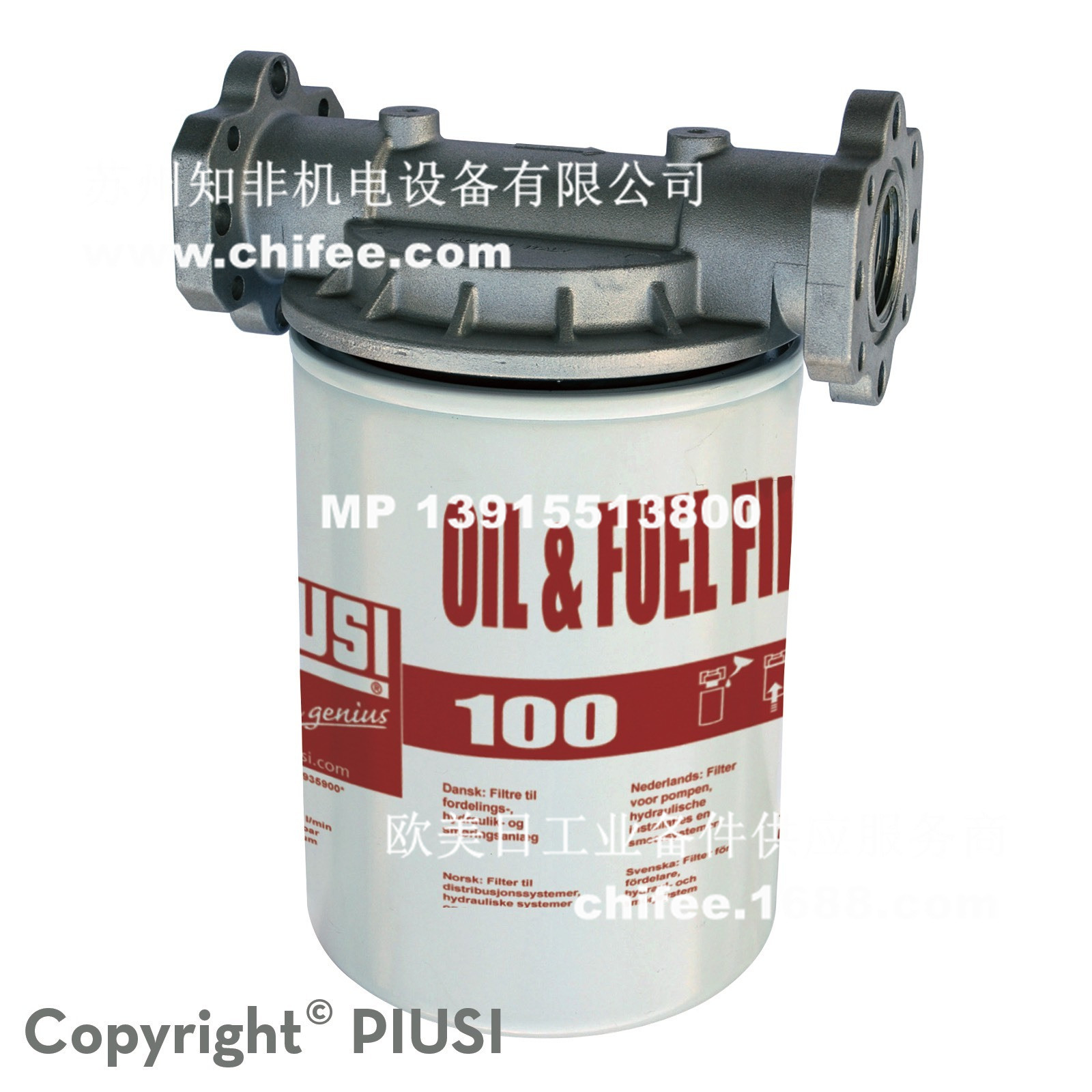 piusi OIL_FUEL_FILTER_100L-MIN_WITH_HEAD_F09149020.jpg