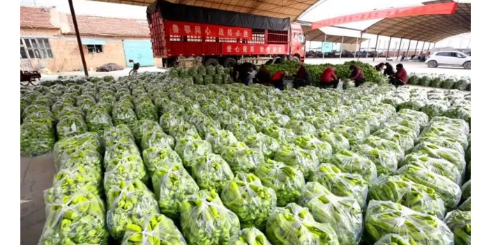 张家港有机蔬菜配送价格表,配送