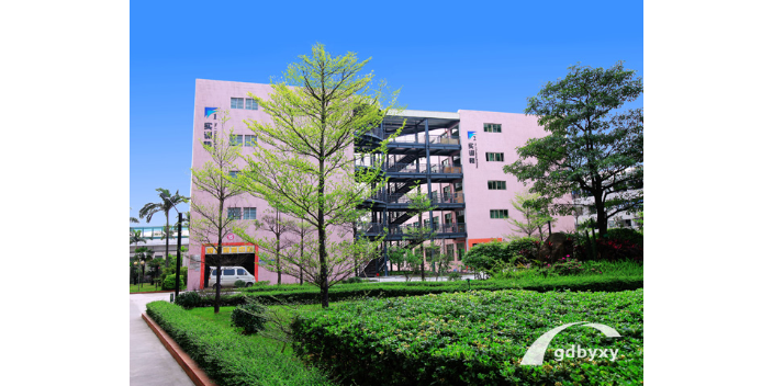 湛江排名广州白云工商技师学院有名气 欢迎来电 佛山云轩教育科技供应;