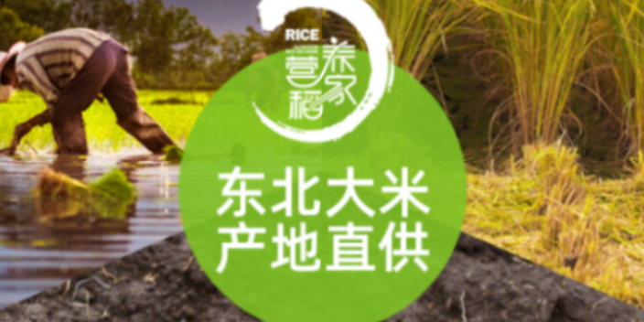 青岛稻花香五常胚芽米有地标的,五常胚芽米