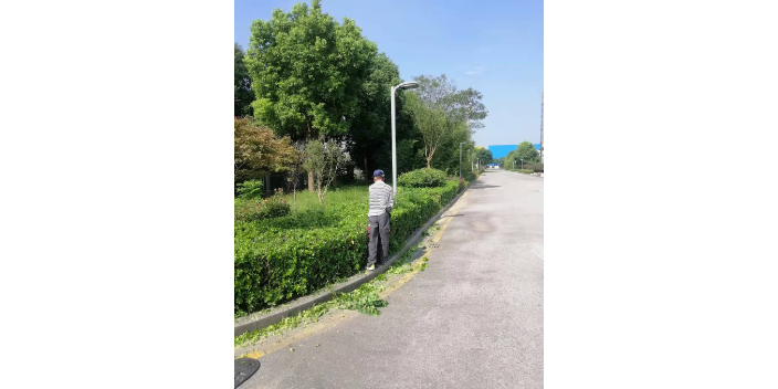 儀征前期物業(yè)服務(wù)委托