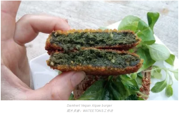 海藻餅.png 海藻餅.png