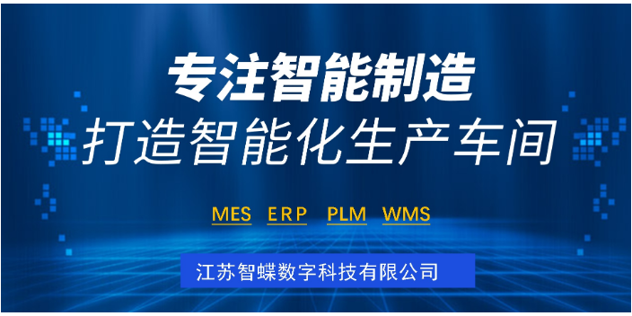 上海数字化MES系统,MES