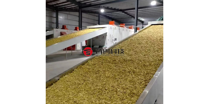 天津玫瑰花带式干燥设备制造商,带式干燥设备