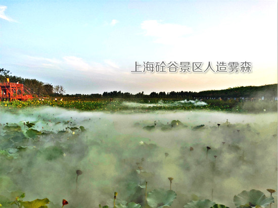 荷花池景觀造霧