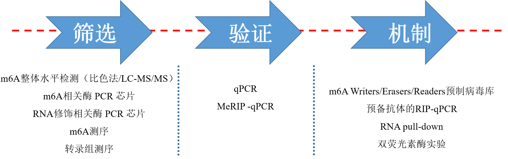 20分Nature子刊|揭秘神经发育过程中m6A RNA甲基化与组蛋白修饰间的关系 - 技术前沿 - 资讯 - 生物在线