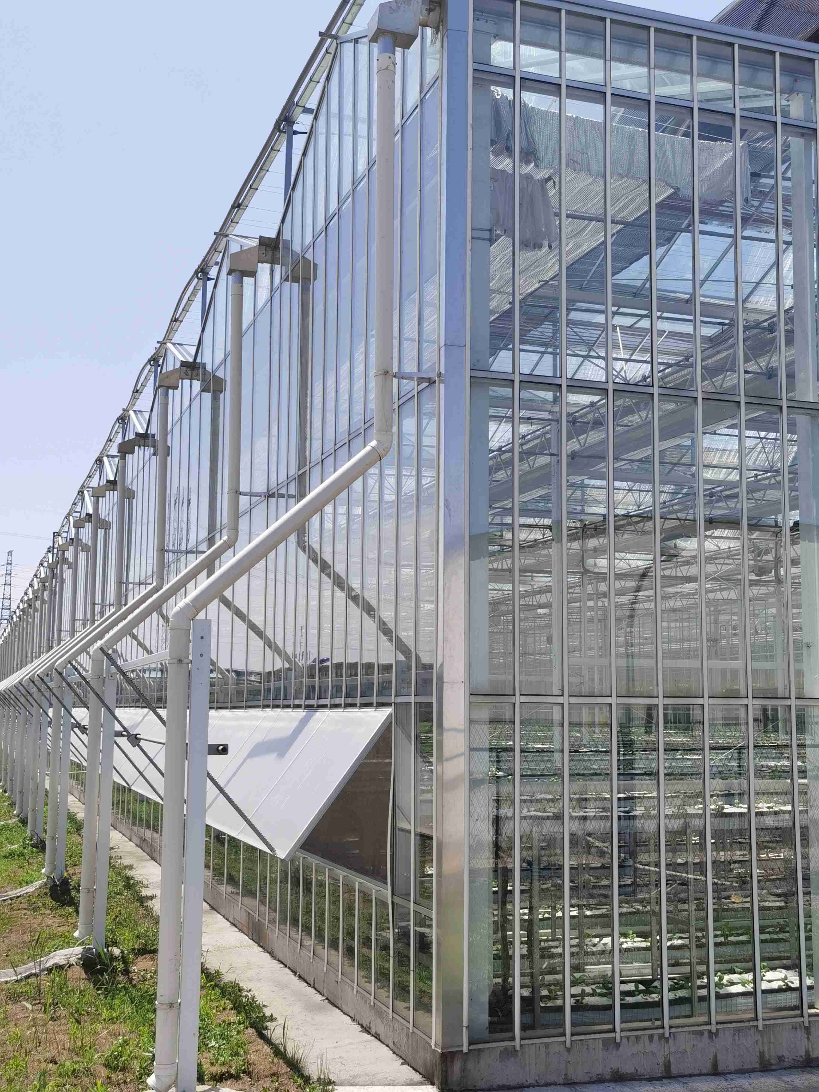 合平阳光 连栋大棚建设 日光温室大棚造价 蔬菜养殖 玻璃大棚骨架