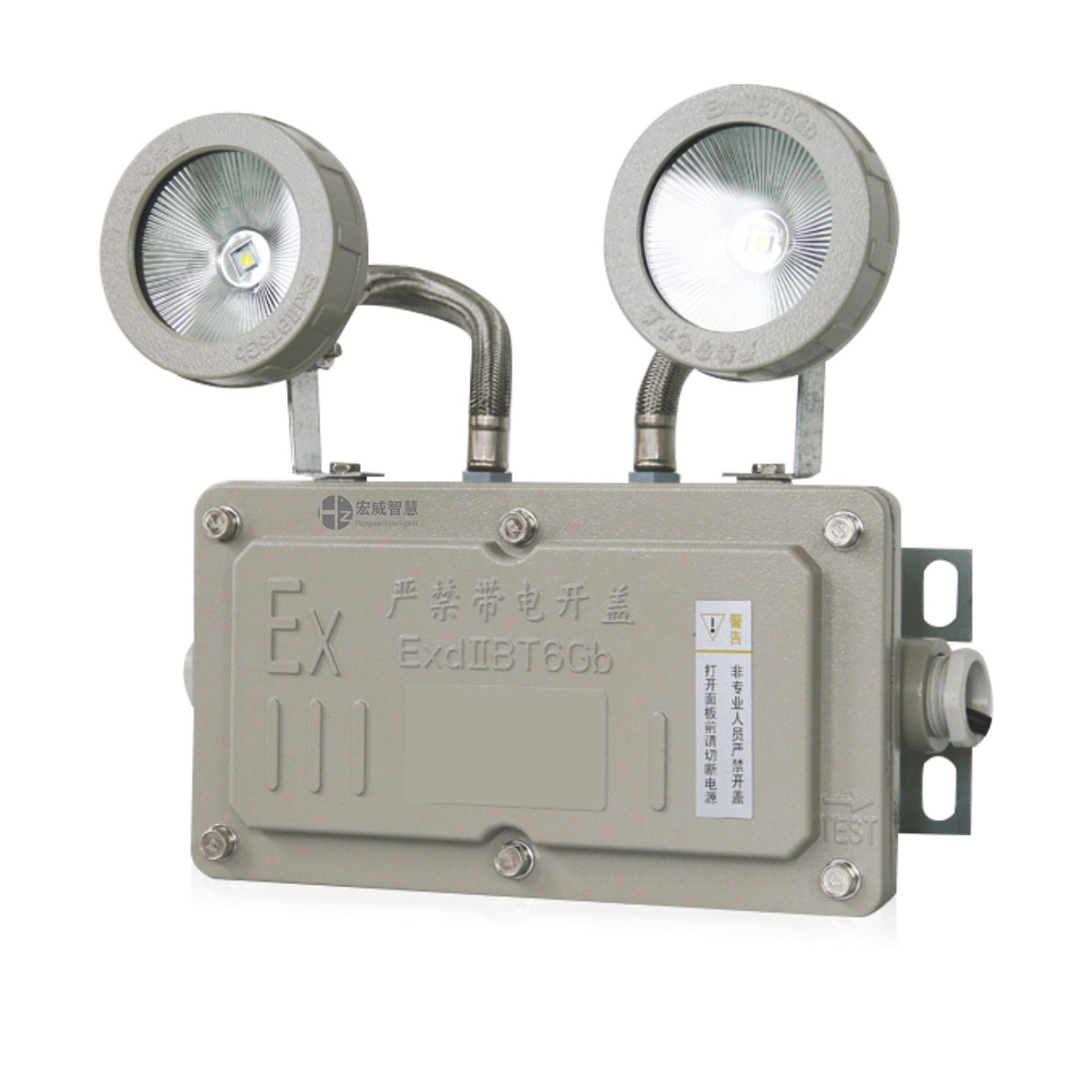 消防应急照明灯具 防爆应急灯 hw-zfjc-e1w-702.jpg