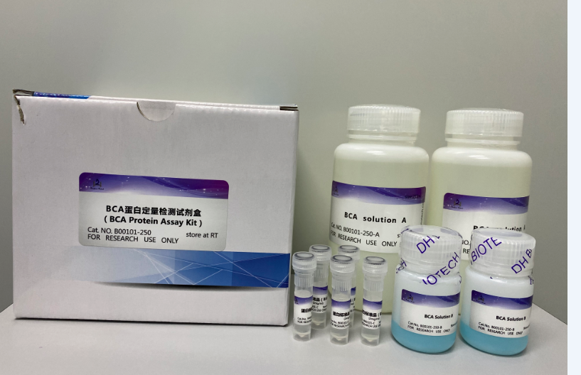 BCA 蛋白定量檢測試劑盒