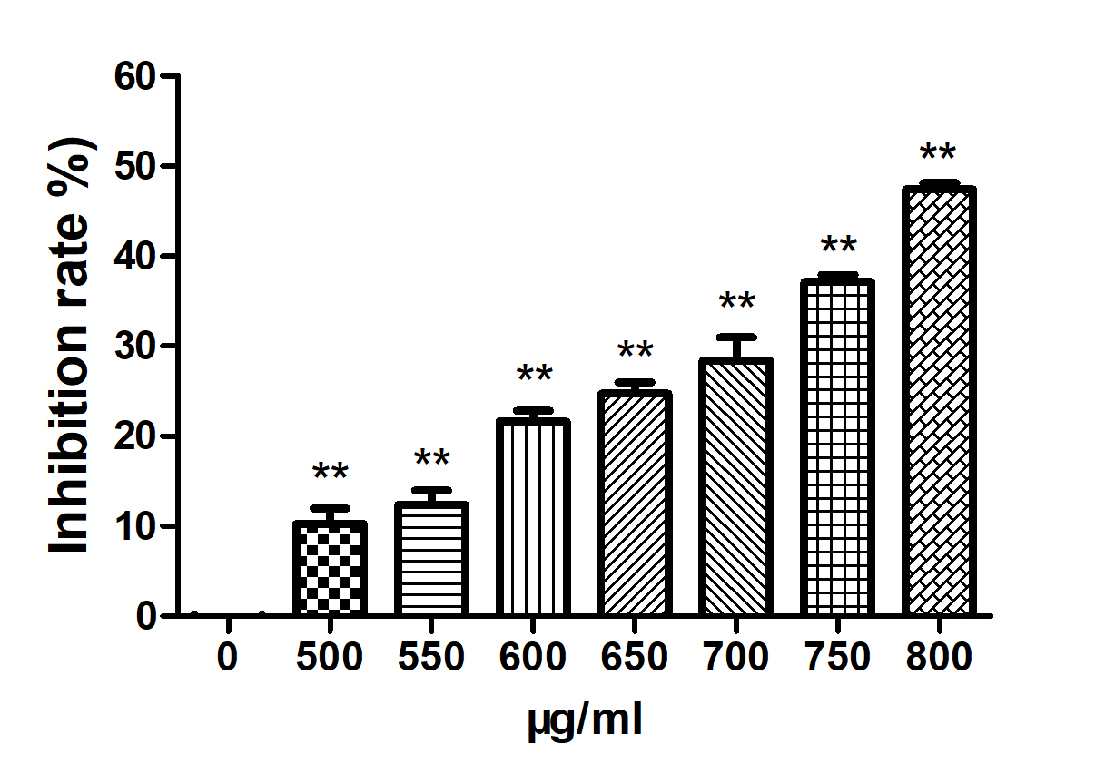 细胞增殖实验(mtt法)