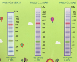 预染彩虹广谱蛋白 Marker II（11-245KD）
