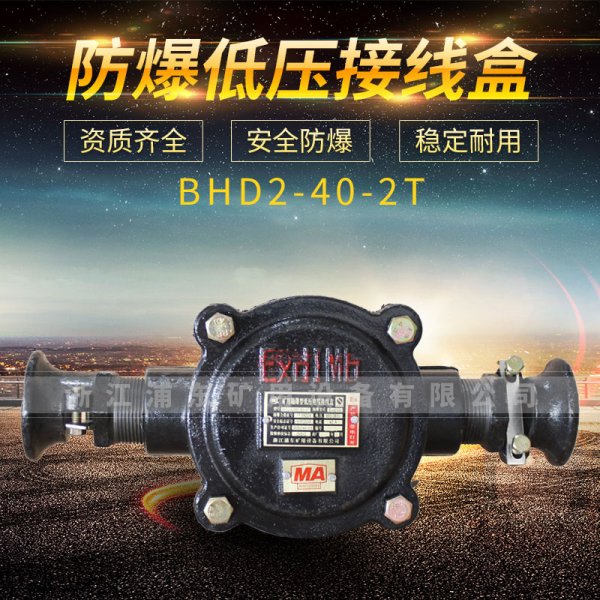 防爆低壓接線盒-BHD2-40-2T