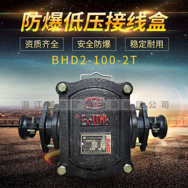 防爆低壓接線盒-BHD2-100-2T