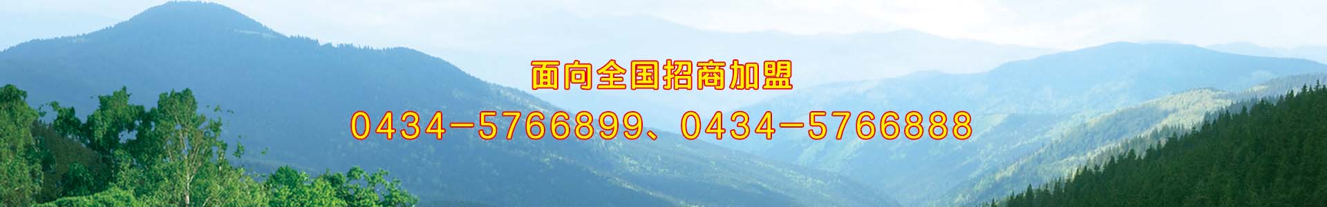 鹿司令