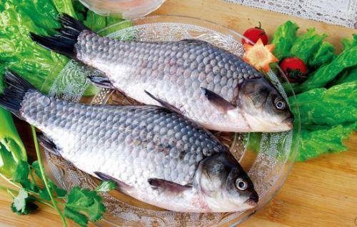  魚