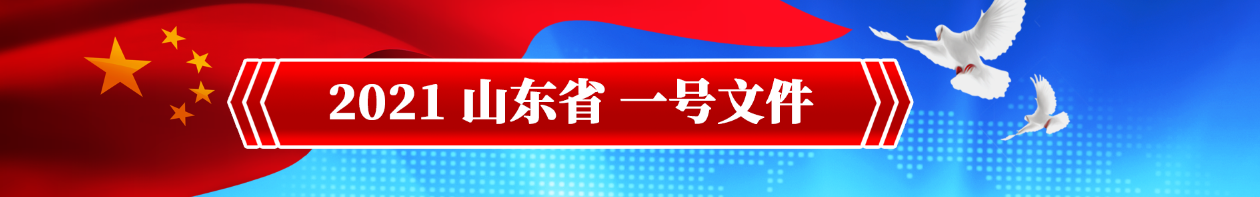 山東省一號(hào)文件.png