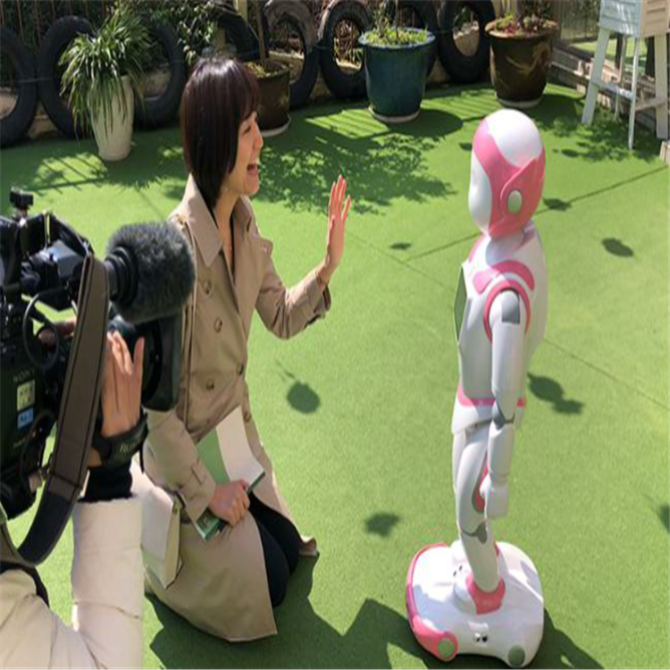 emc易倍官网早教机器人