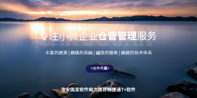 江苏一体化的用友T 软件管理方便 来电咨询 淮安国发软件供应;