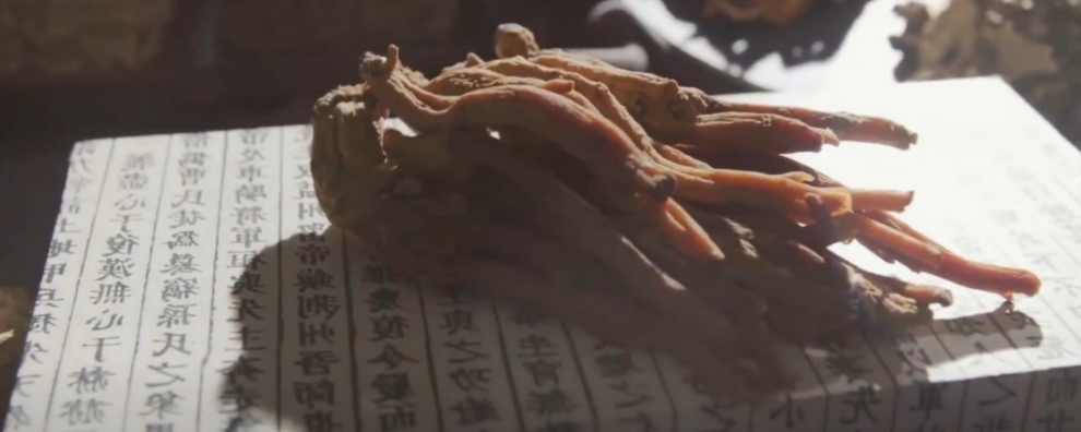 南京會議宣傳片拍攝公司