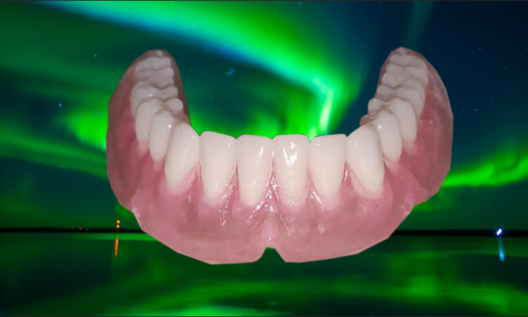 美耐达胶托排牙