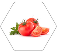 番茄加工生產線