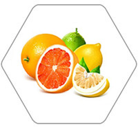 柑橘加工生產線