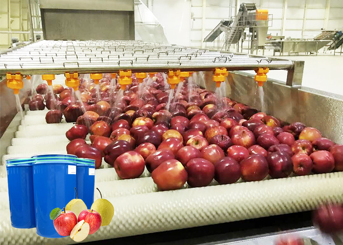 苹果生产流水线的生产工艺